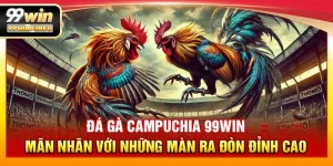 Đá Gà Campuchia 99WIN – Mãn nhãn với những màn ra đòn đỉnh cao