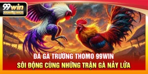 Đá gà trường Thomo 99WIN – sôi động cùng những trận gà nảy lửa