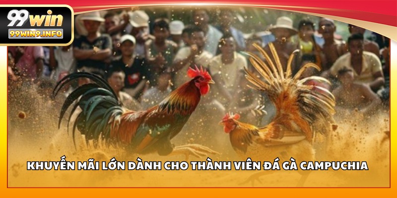 Khuyến mãi lớn dành cho thành viên Đá Gà Campuchia