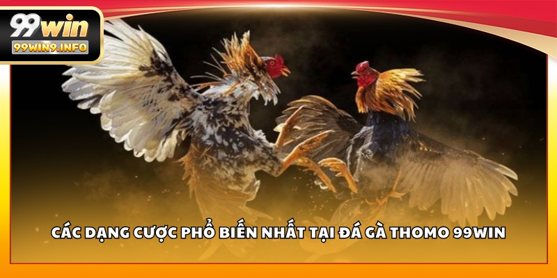 Các dạng cược phổ biến nhất tại Đá Gà Thomo 99WIN