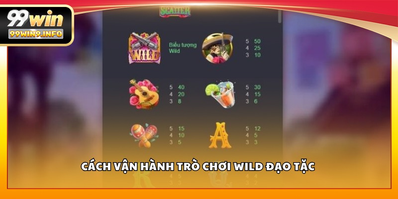 Cách vận hành trò chơi Wild Đạo Tặc