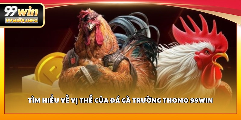 Tìm hiểu về vị thế của Đá Gà Trường Thomo 99WIN