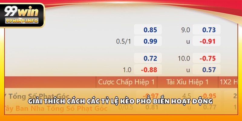 Giải thích cách các tỷ lệ kèo phổ biến hoạt động