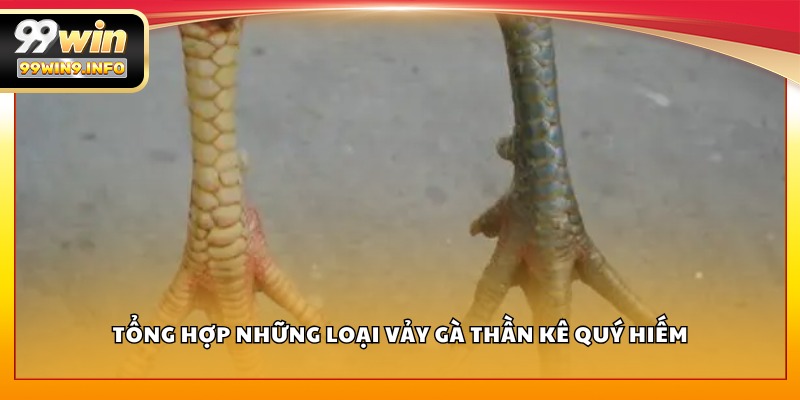 Tổng hợp những loại vảy gà thần kê quý hiếm